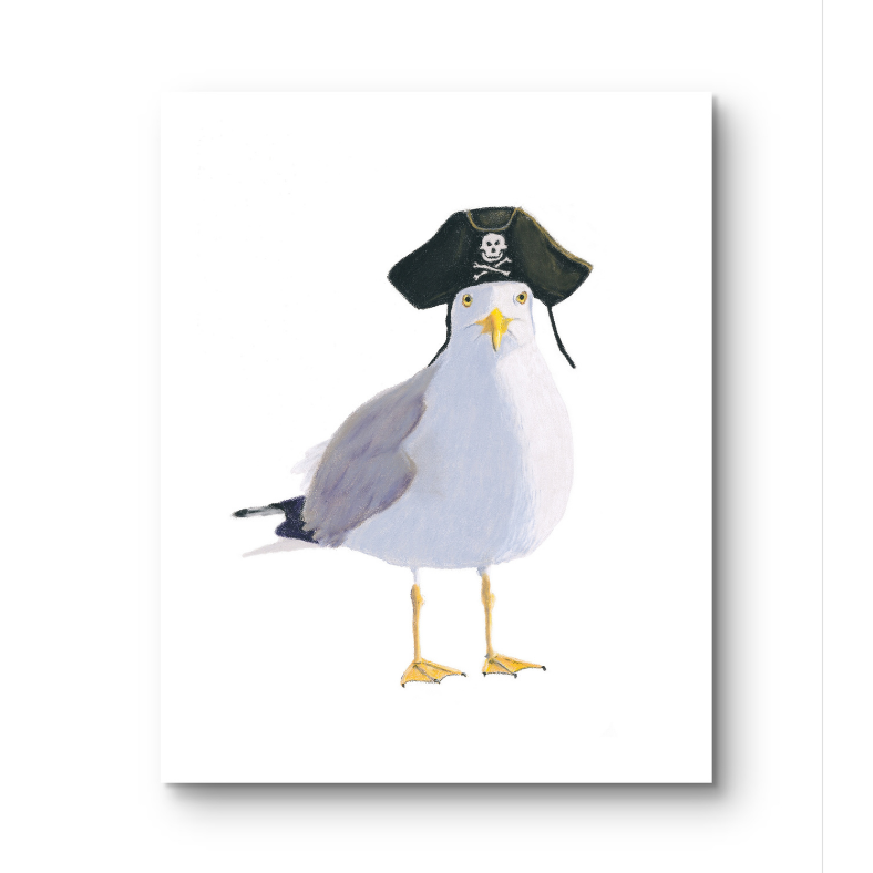 Seagull wearing a pirate hat on a white background