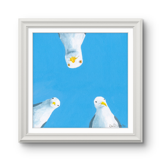 Framed artwork of three seagulls against a blue sky
