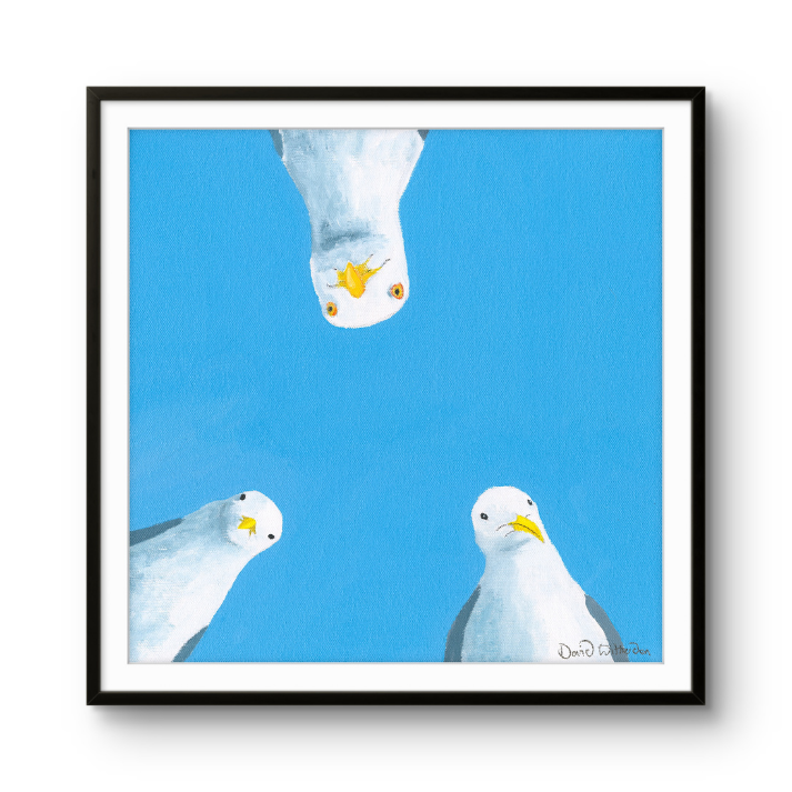 Framed artwork of three seagulls with yellow beaks against a blue background