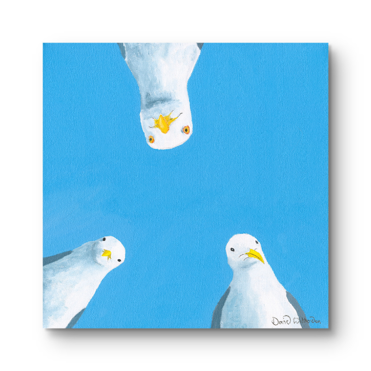 Three seagulls against a blue background