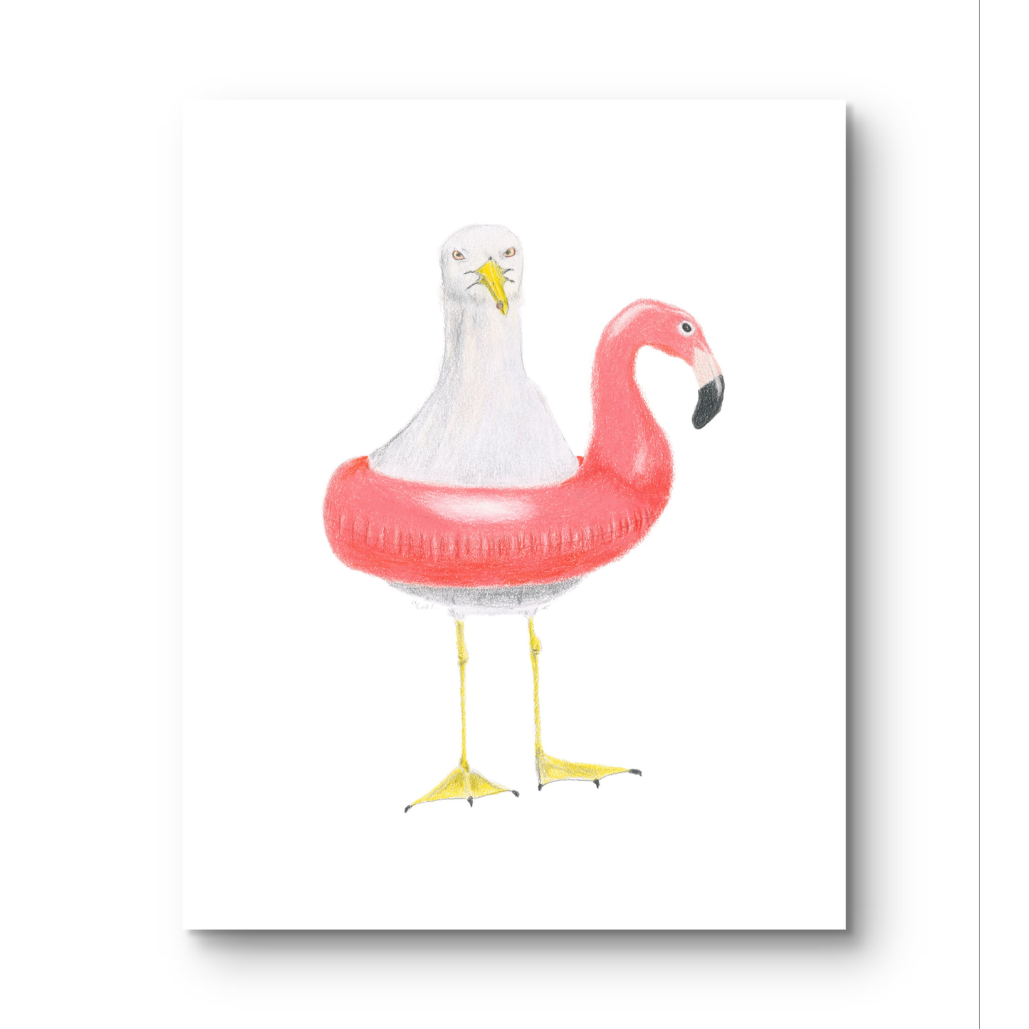 'Beach Gull'