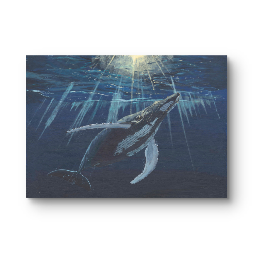 'Gentle giant' - Print