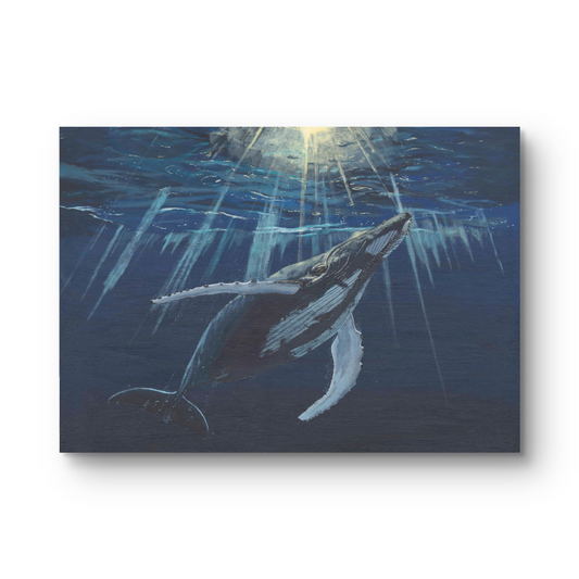 'Gentle giant' - Print