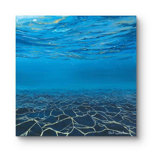'The Shallows' - Limited Edition Print